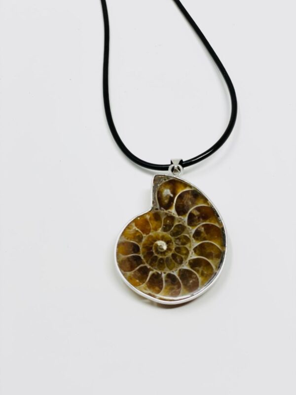 Ammonite_Necklace_1_82